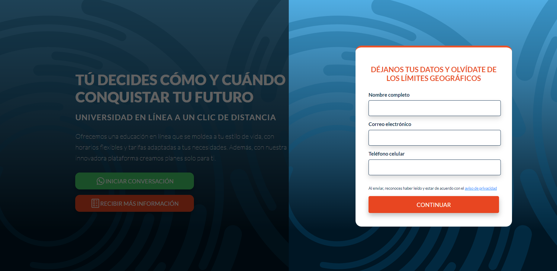 Web Interfaz
